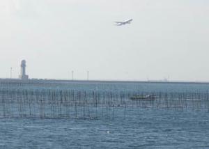 海苔そだと飛行機