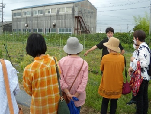 現地ほ場で話を聞く女性農業者