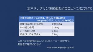 動画で使用しているスライド(5)