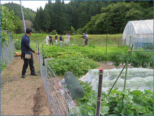 ほ場でのおじろ用心棒設置