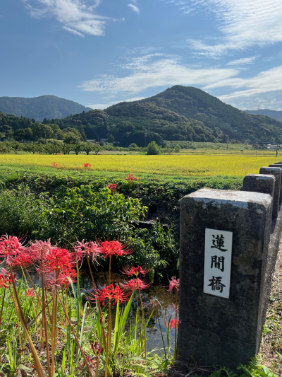 豊橋市の嵩山（すせ）