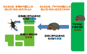 イメージ図