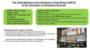 愛知ユース発表資料（COP10）