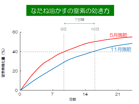 なたね油かすの窒素の効き方